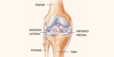 LESIONES MENISCALES